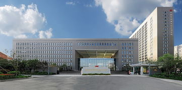 專業介紹